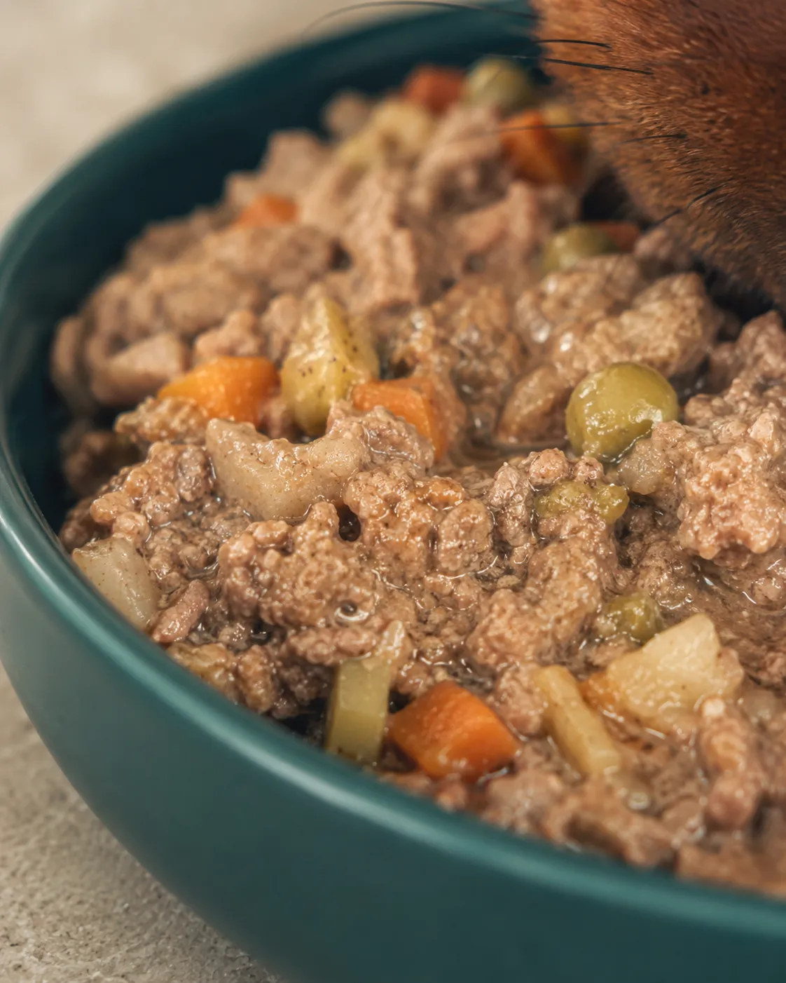 Close-up of benny real food — visible meat, carrot, potato and peas